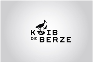 logo kuib